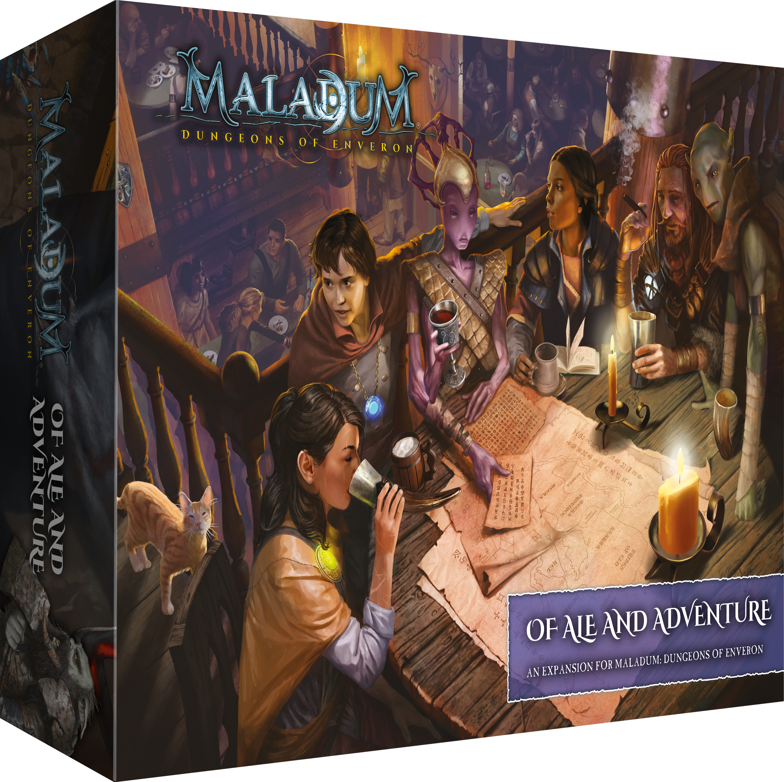 Board game box for 'Maladum: Dungeons of Environ' with characters around a table.