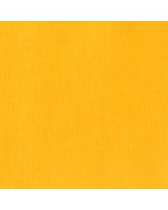 Liquitex Yellow Orange AZO