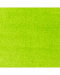 Liquitex Lime Green