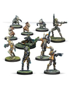 Dire Foes Mission Pack 14 Infinity Corvus Belli box